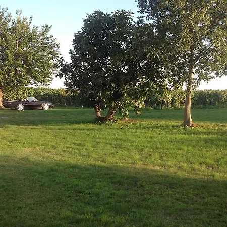 Agriturismo I Mischi مزرعة للإقامة كاستلْنْيوفو ديل غارد
