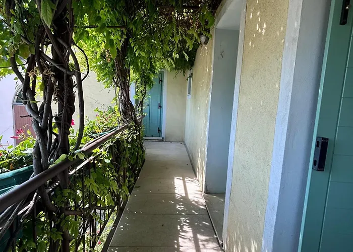 Agriturismo I Mischi مزرعة للإقامة كاستلْنْيوفو ديل غارد